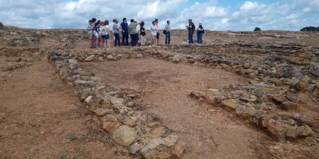 Enclave Arqueológico de Tejada la Vieja