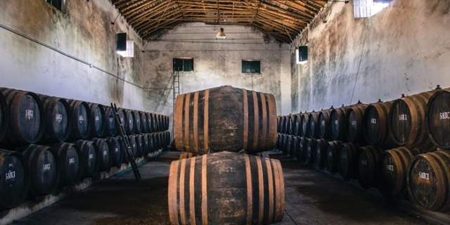 Bodegas Sauci