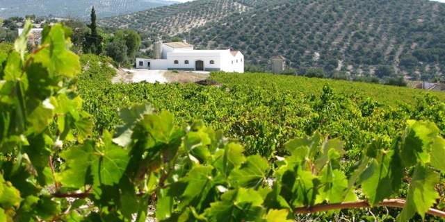 Bodegas Lagar Blanco
