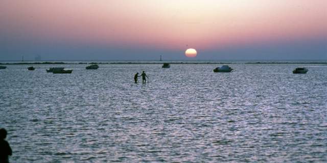 Doñana