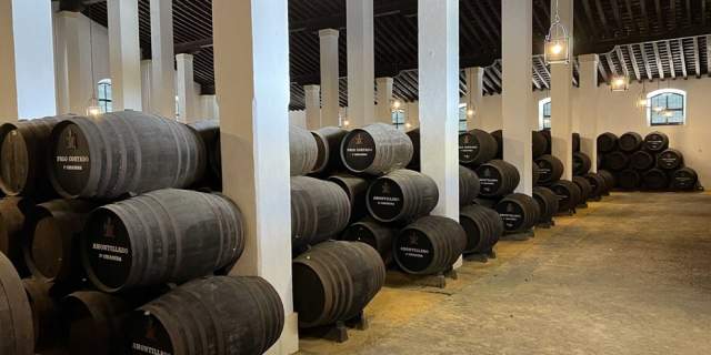 Bodegas Cayetano del Pino