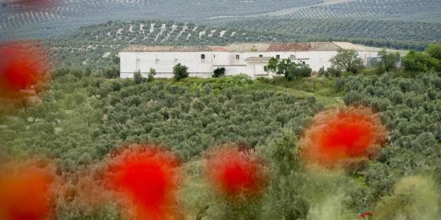 Almazara Ecológica Aceites Nobleza Del Sur