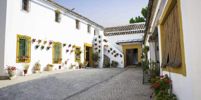 Lagar los Raigones Winery
