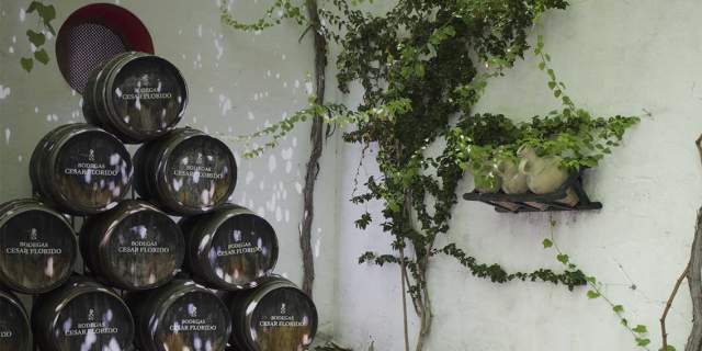 Bodegas César Florido