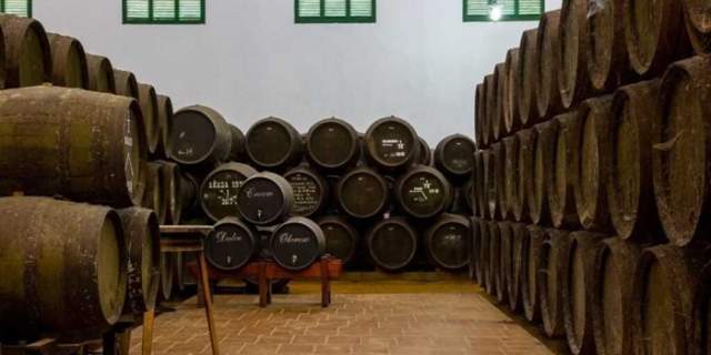 Bodega Cooperativa Agrícola Virgen de Palomares