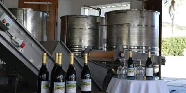 Bodega Guardi Wines