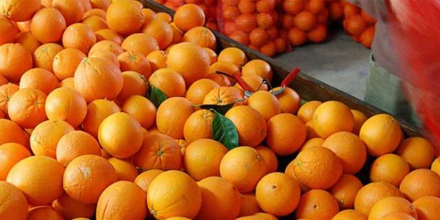 Biovalle Organic Oranges and Citrus