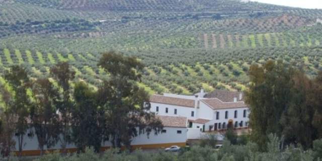 Almazara Soler-Romero