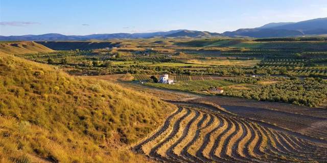 Bodegas Vilaplana