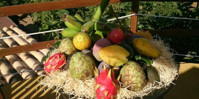 Finca El Pinero