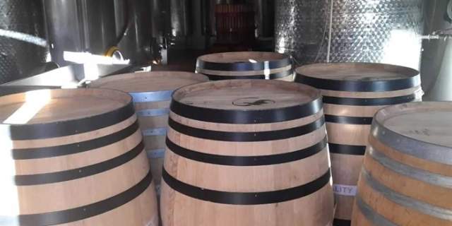 Bodega Cauzón
