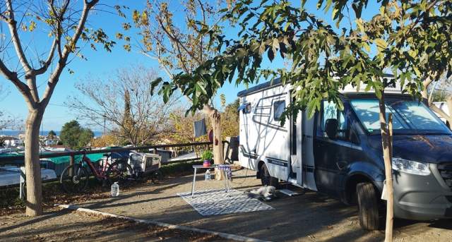 El Pino Camping