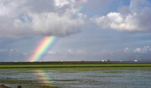 Rice Route in the province of Seville