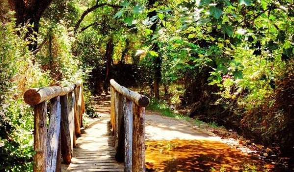 The Jabugo Route in the Province of Huelva