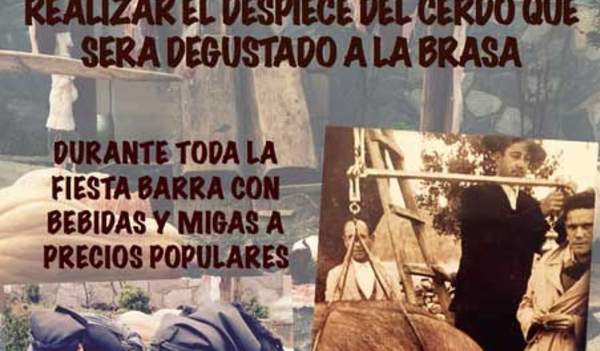 Matanza Tradicional del Cerdo en El Alcornocal