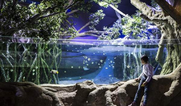 Aquarium de Séville