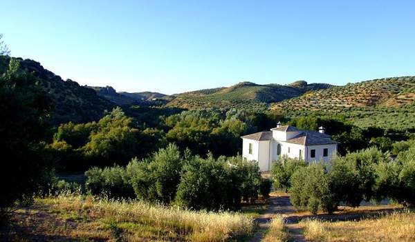Casa Olea