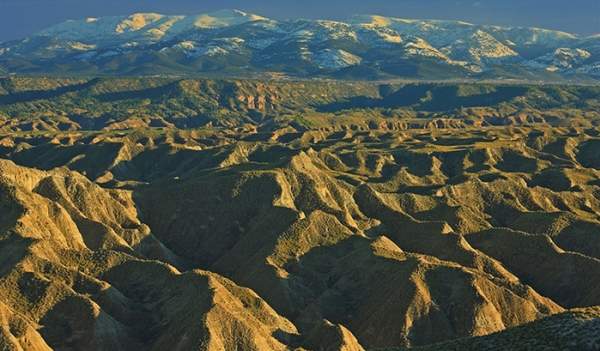 Georuta Desierto de Gorafe