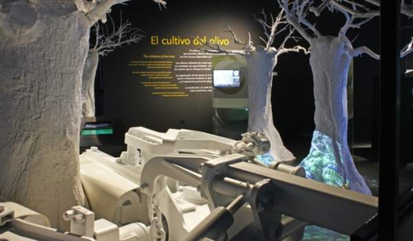 Musée actif de l'huile d'olive et de la durabilité Terra Oleum