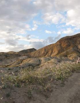 Almería Bike Tours