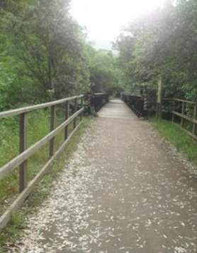 Greenway from the Sierra Norte