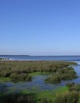 Doñana