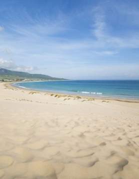 Duna de Bolonia