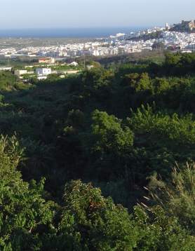 Ruta de la Chirimoya