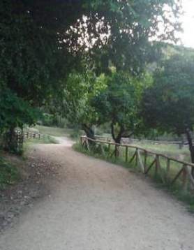 Corredor Verde Metropolitano