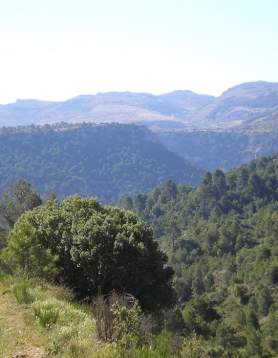 Jaén por la TransAndalus