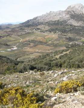Ruta Bosque de las Morillas