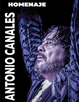 Tacón Flamenco Festival in Utrera