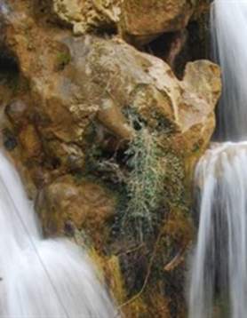 Tierraventura Cazorla