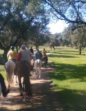Hyla Educación Ambiental