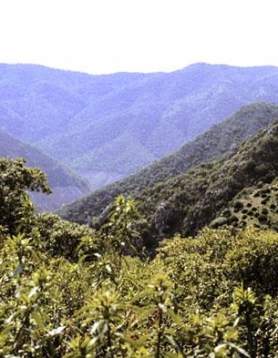 Sierra de Hornachuelos