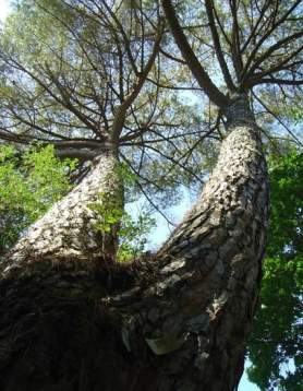Jardines de Huelva