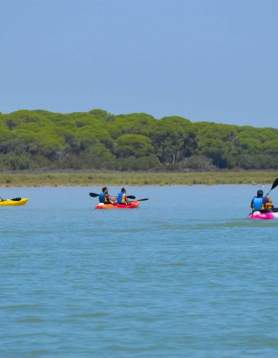 Ruta en kayak de Sanlúcar a Doñana