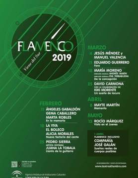 Flamenco Viene del Sur Granada