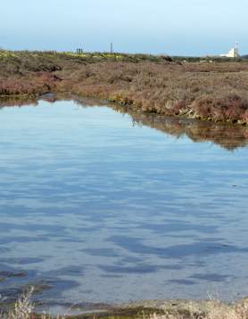 Bahía de Cádiz