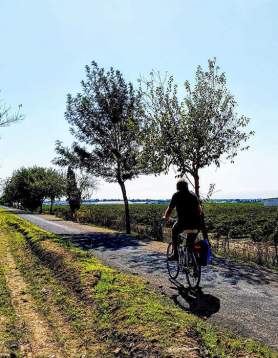 Ruta Litoral - Vía Verde