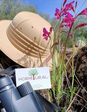 Hornitural