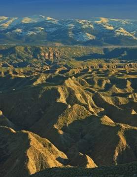 Georuta Desierto de Gorafe
