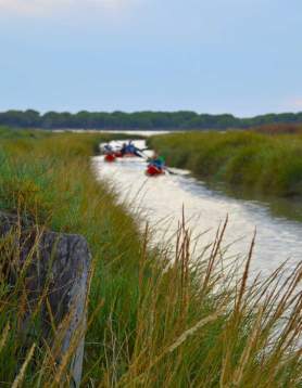 Doñana Activa, Aventura y Ocio