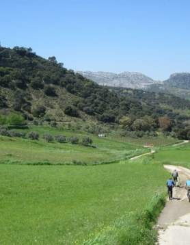 Cortijo La Rejertilla