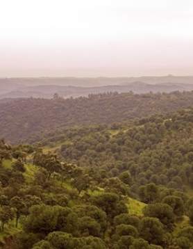 Sierra de Cardeña y Montoro