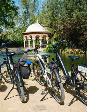 E-bike rental 3 horas