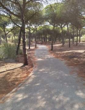Chameleon Route