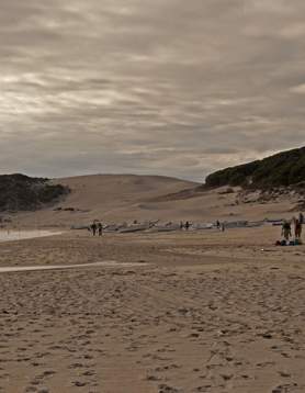 Duna de Bolonia