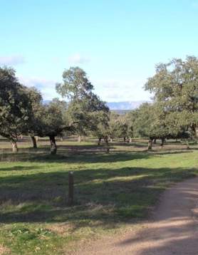 Aldea del Cerezo-Venta del Charco