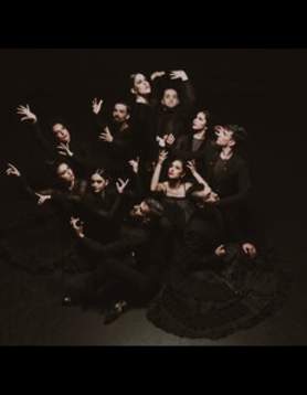Ballet Flamenco de Andalucía Tierra Bendita